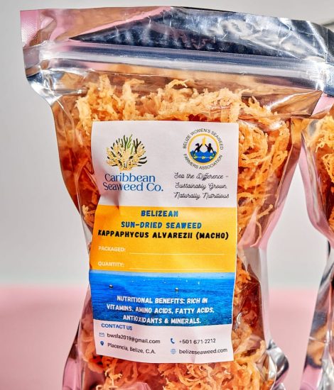 Belizean Sun-Dried Seaweed (Kappaphycus alvarezii)