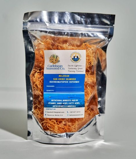 Belizean Sun-Dried Seaweed (Eucheumatopsis isiformis)