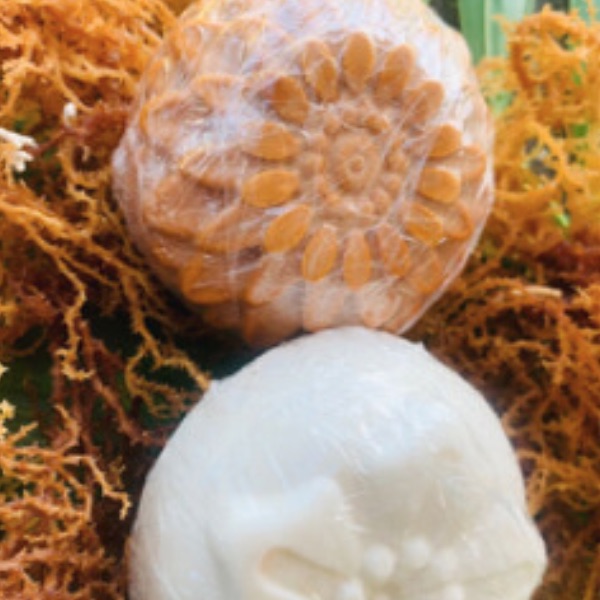 Sea Moss Soap