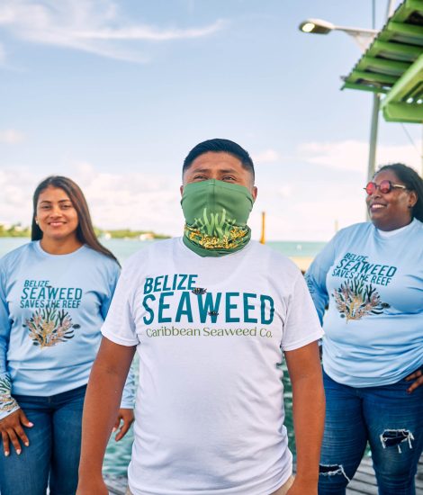Belize Seaweed White T-shirt