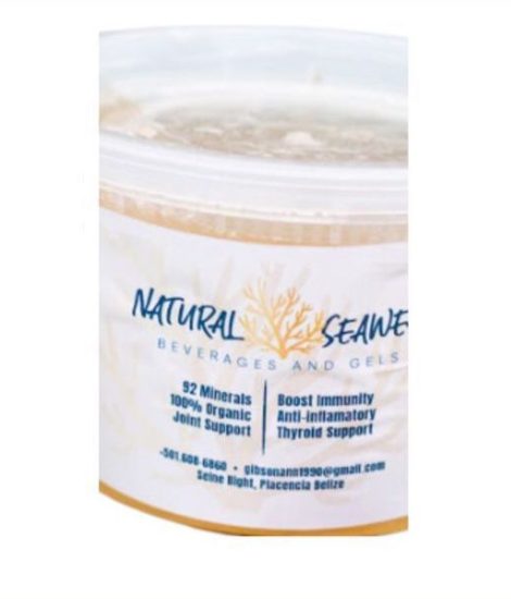 Seaweed Gel