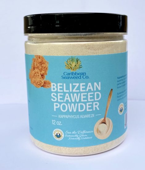 12oz Belizean Seaweed Powder (Kappaphycus alvarezii)