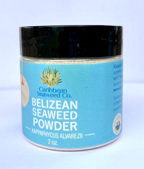 2oz Belizean Seaweed Powder (Kappaphycus alvarezii)