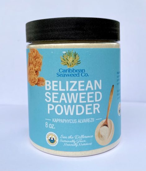 8oz Belizean Seaweed Powder (Kappaphycus alvarezii)