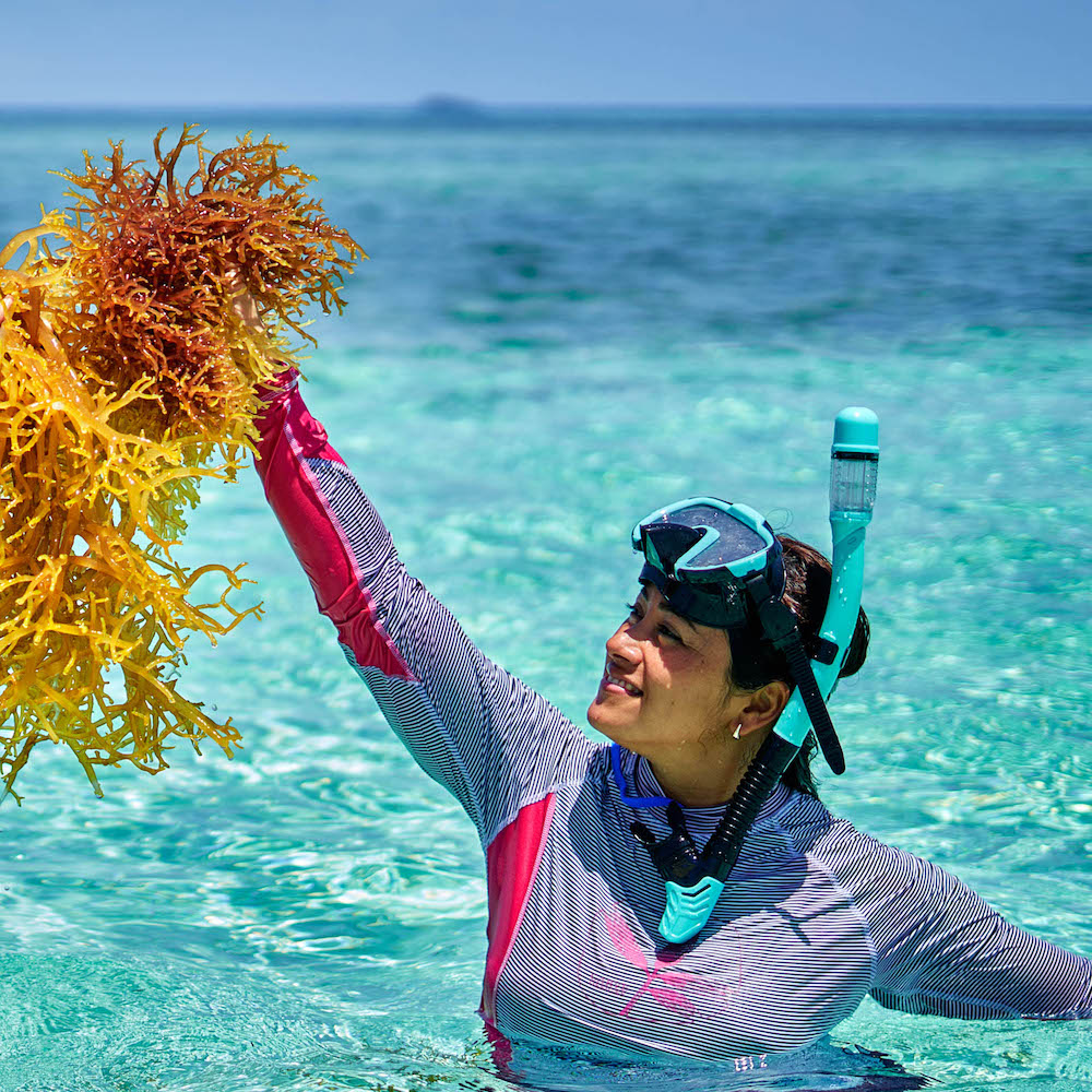 Leading the Way in Regenerative Tourism & Ocean Education